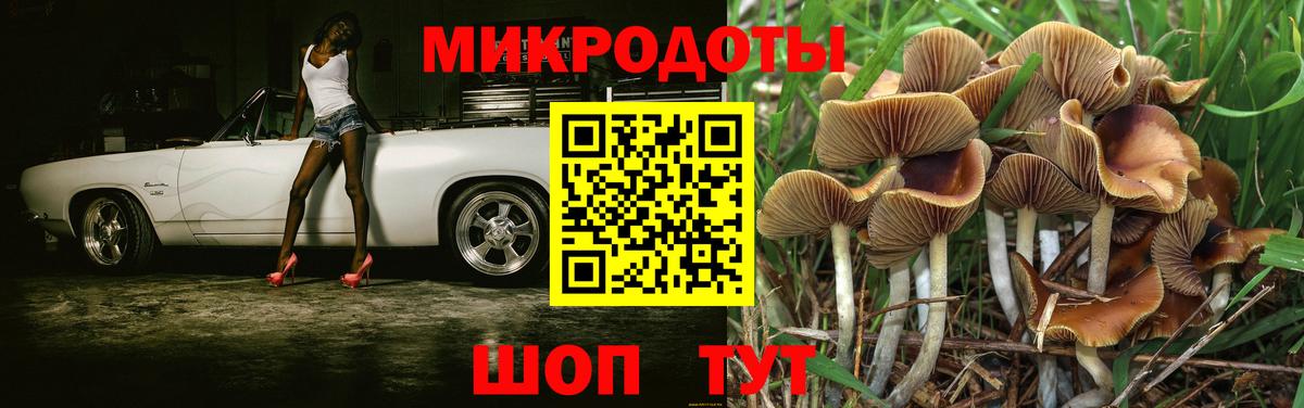 Галлюциногенные грибы мухоморы  Псилоцибиновые грибы GOLDEN TEACHER  Верхний Уфалей  продажа наркотиков  Вход с VPN 